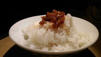 plain cooked rice