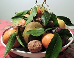 apple, orange, tangerine, grapes and walnut on a tray