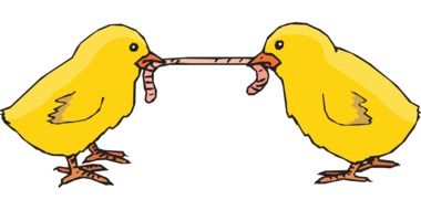funny chicks eating worm vector drawing