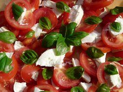 tomato and mozzarella salad with basil