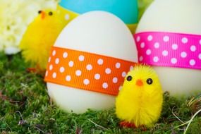 celebration chicken color eggs and yellow decorative chickens