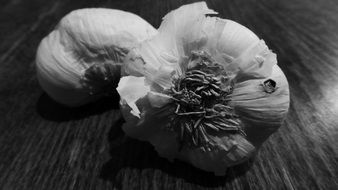 two garlic cloves, black and white