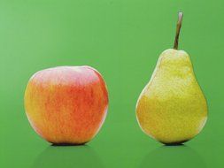 apple pear fruit on a green background