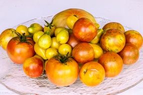 red and yellow tomatoes on tray