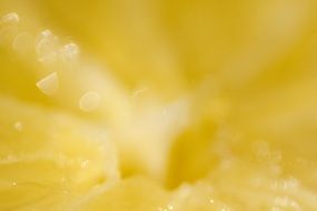 yellow lemon flesh
