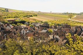beautiful village landscape with vineyards, france, burgundy, irancy