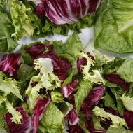 green and purple lettuce leaves