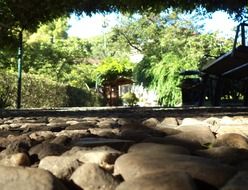 stones on the background of vegetation