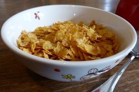 breakfast cornflakes