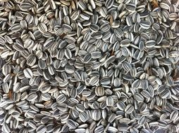 A lot of sunflower seeds