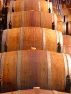 barrels of wine in the cellar