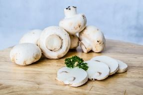 organic champignon white mushroom close-up