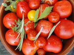 tomato harvest in a brown bowl