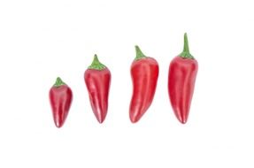 four red hot peppers