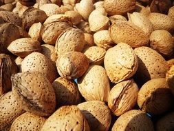 A lot of big almonds