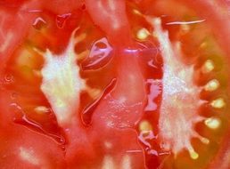 red tomato pulp close-up