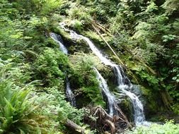 small waterfall in the forest in nature