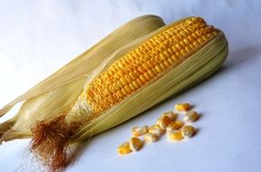 two corn cob