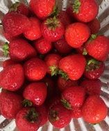 ripe organic strawberries in a bowl