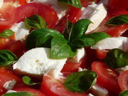 salad with tomato, mozzarella and basil