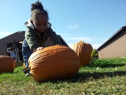 girl is rolling an orange pumpkin at the farm