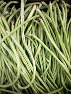 green french bean basket