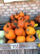 Wooden box with pumpkin