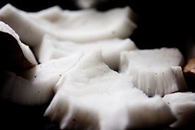 white flesh of coconut