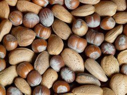 almonds,hazelnuts and walnuts close-up