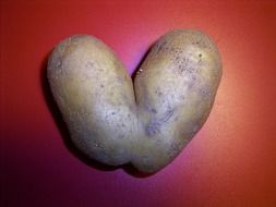 unusually shaped potatoes