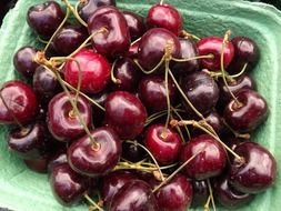 burgundy sweet cherry in a green bowl