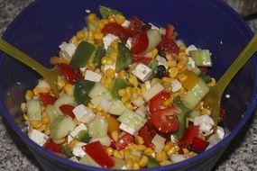 colorful salad, vegetables and soft cheese, healthy food