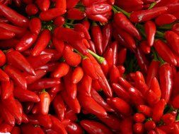 hot chili peppers