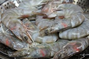closeup photo of the steamed shrimps