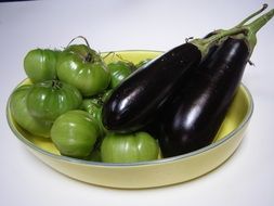 fresh organic veggie eggplants and green tomato