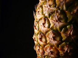 pineapple fruit exotic