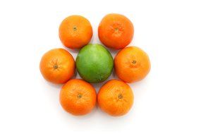 Some citrus fruits