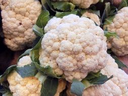 cauliflower, raw vegetables, healthy food