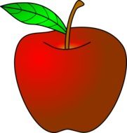 red ripe apple with green leaf on stem, illustration