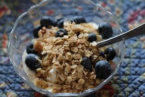muesli with blueberries and yogurt for breakfast