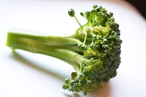 broccoli healthy food