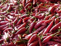 lot of hot red pepper