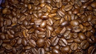 roasted flavored coffee beans