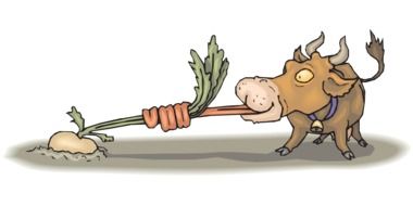 cow eating food drawing