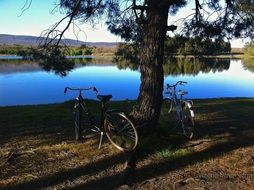 travel with bicycles