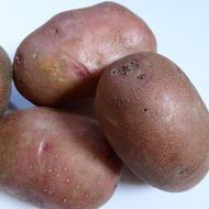 Red potatoes