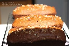 fresh pumpkin bread