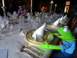 toy frog at a beautiful table