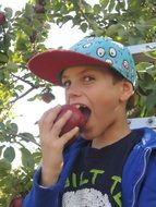 boy with red apple