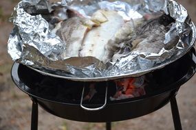 fish in grill